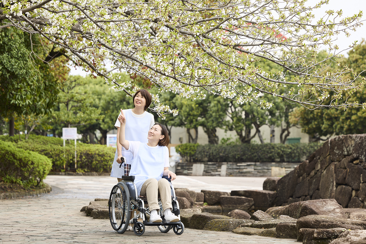 初任者研修で学ぶ！介護における「自律」と「自立」の違いとは？